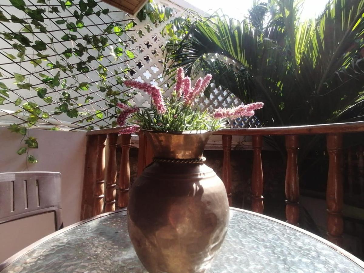 Casa Mama Waldy 招待所